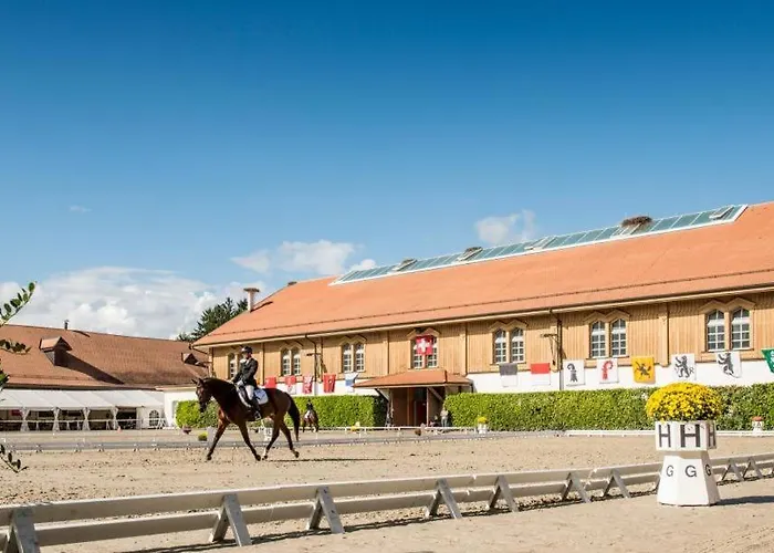 Hine Adon - A2 Avenches